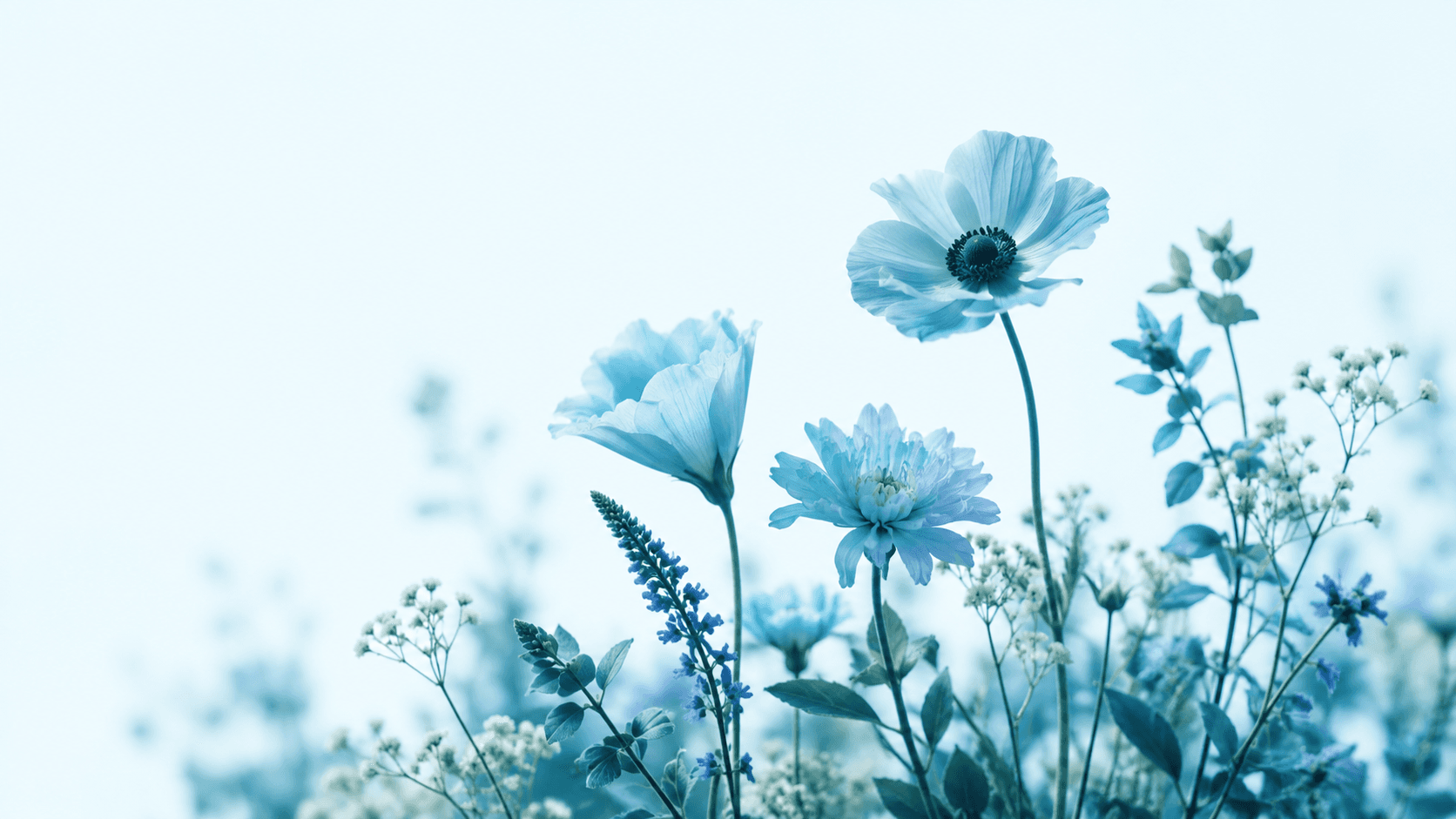 Blue flowers growing together in a sunlit field